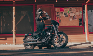 Nova Harley Davidson Softail Standard 2023